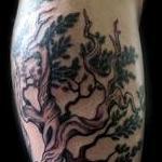 Tattoos - Black and Grey Bristlecone Pine Tattoo - 123318